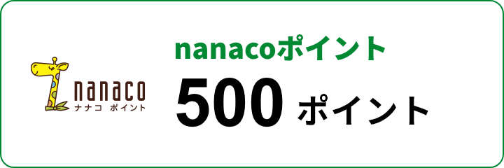 nanacoポイント 500ポイント